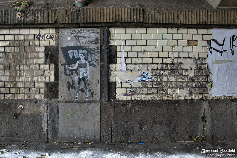 Bernhard Saalfeld - Freedom Fighter